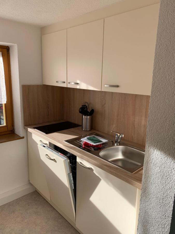 ゼルデンHaus Brunnenbergアパートメント エクステリア 写真